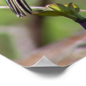 Blending In Poster (Ecke)