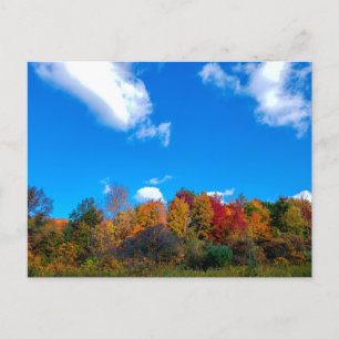 Blendon Woods Metro Park im Herbst, Columbus, Ohio Postkarte