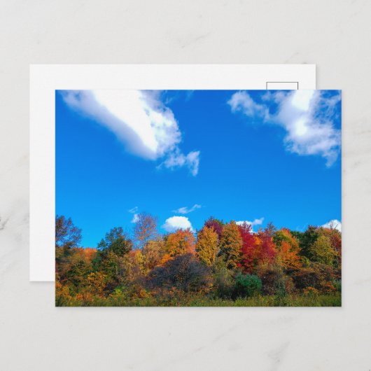 Blendon Woods Metro Park im Herbst, Columbus, Ohio Postkarte (Vorne/Hinten)