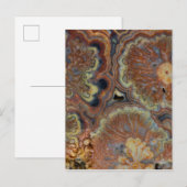 Blendrohr Onyx Postkarte (Vorne/Hinten)