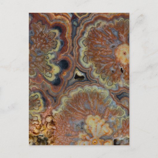 Blendrohr Onyx Postkarte (Vorderseite)