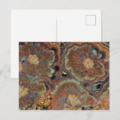 Blendrohr Onyx Postkarte (Vorne/Hinten)