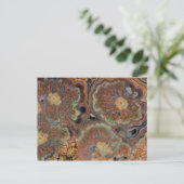 Blendrohr Onyx Postkarte (Stehend Vorderseite)