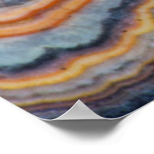 Blendrohronyx Poster (Ecke)