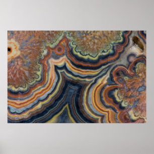 Blendrohronyx Poster