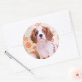 Blenheim Cavalier King Charles Spaniel Aufkleber (Umschlag)