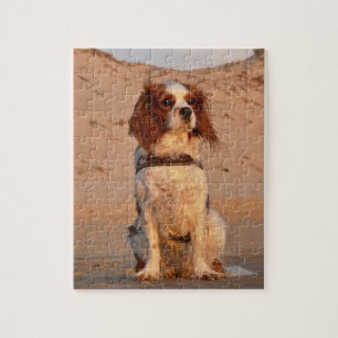 Blenheim Cavalier King Charles Spaniel Beach Puzzle