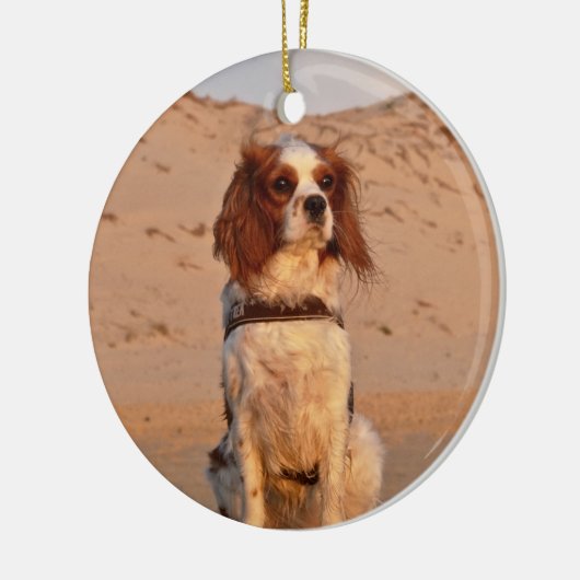 Blenheim Cavalier King Charles Spaniel Dog Keramik Ornament (Links)