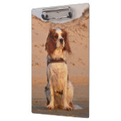 Blenheim Cavalier King Charles Spaniel Dog Klemmbrett (Links)