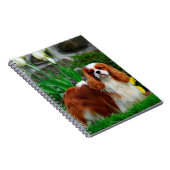 Blenheim Cavalier King Charles Spaniel Dog Notizblock (Rechte Seite)