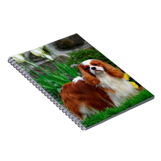 Blenheim Cavalier King Charles Spaniel Dog Notizblock (Rechte Seite)