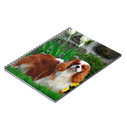 Blenheim Cavalier King Charles Spaniel Dog Notizblock (Linke Seite)