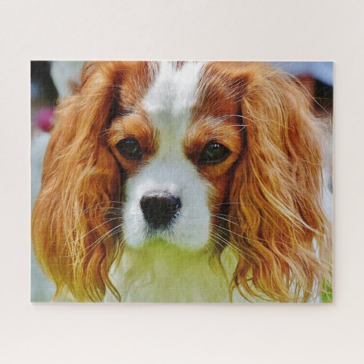 Blenheim Cavalier King Charles Spaniel Dog Puzzle (Horizontal)