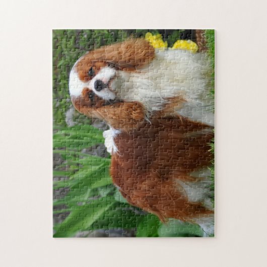 Blenheim Cavalier King Charles Spaniel Dog Puzzle (Vertikal)