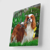 Blenheim Cavalier King Charles Spaniel Dog Quadratische Wanduhr (Winkel)