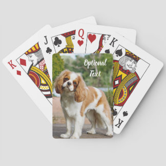 Blenheim Cavalier King Charles Spaniel Dog Spielkarten