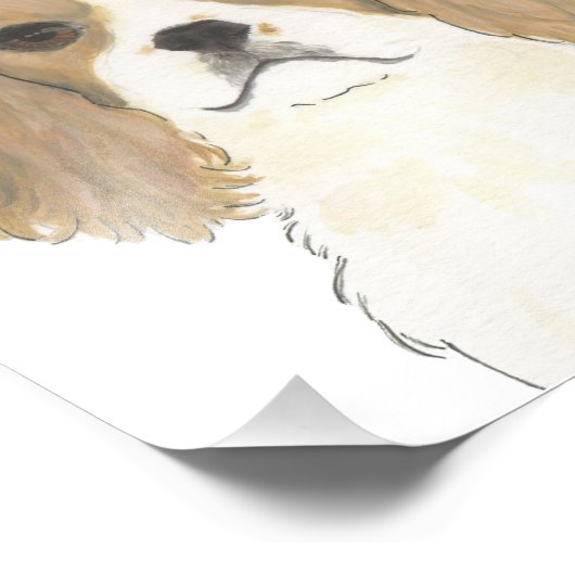 Blenheim Cavalier King Charles Spaniel Fotodruck (Ecke)