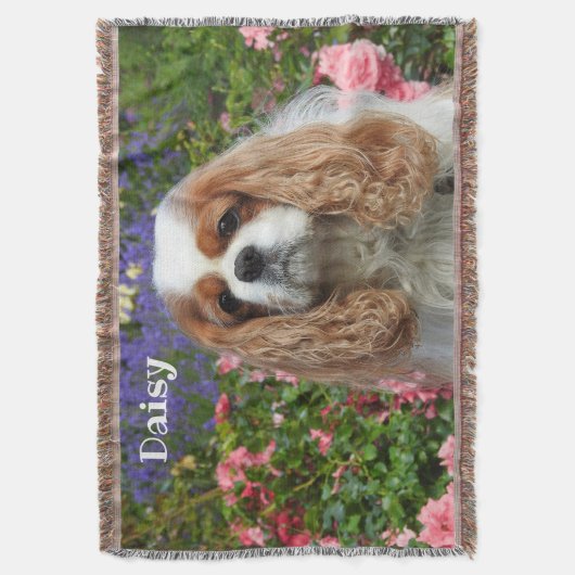 Blenheim Cavalier King Charles Spaniel in Blume Decke (Vorderseite Vertikal)