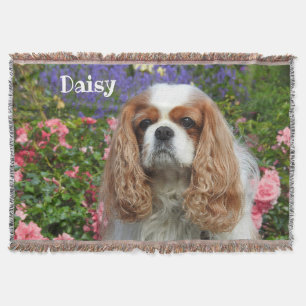 Blenheim Cavalier King Charles Spaniel in Blume Decke