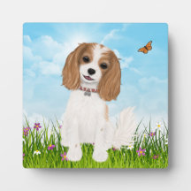 Blenheim Cavalier King Charles Spaniel in Blume