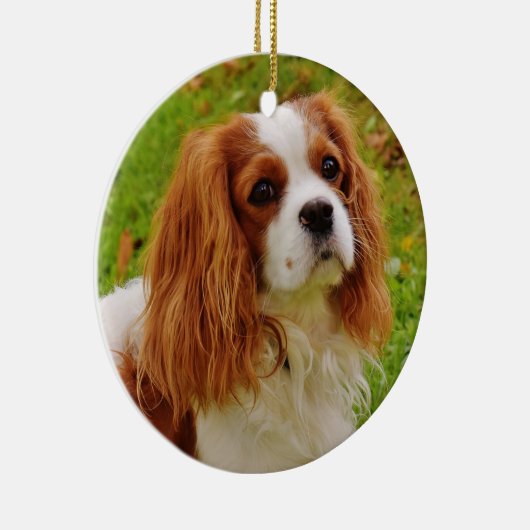 Blenheim Cavalier King Charles Spaniel in Grass Keramik Ornament (Rechts)