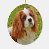 Blenheim Cavalier King Charles Spaniel in Grass Keramik Ornament (Links)
