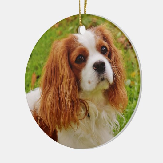 Blenheim Cavalier King Charles Spaniel in Grass Keramik Ornament (Links)