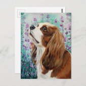 Blenheim Cavalier King Charles Spaniel Postkarte (Vorne/Hinten)