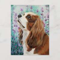 Blenheim Cavalier King Charles Spaniel