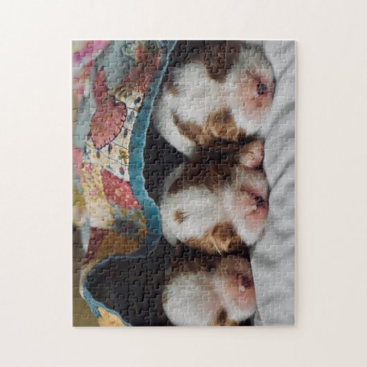 Blenheim Cavalier King Charles Spaniel Puppies Puzzle (Vertikal)