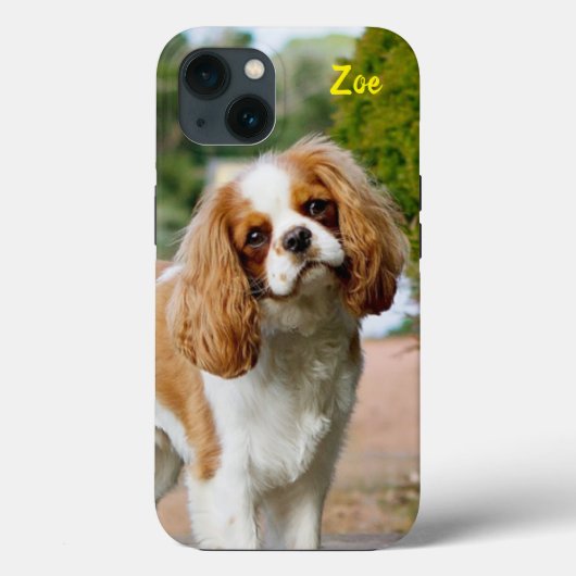 Blenheim Cavalier King Charles Spaniel Puppy Dog Case-Mate iPhone Hülle (Rückseite)