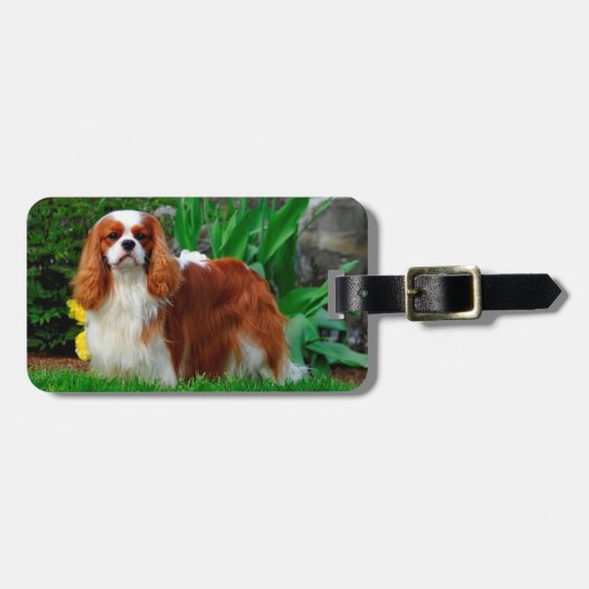 Blenheim Cavalier King Charles Spaniel Puppy Dog Gepäckanhänger (Vorderseite horizontal)