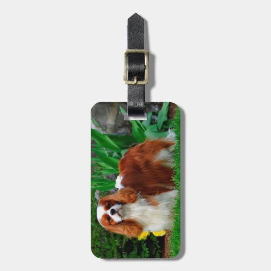Blenheim Cavalier King Charles Spaniel Puppy Dog Gepäckanhänger (Vorderseite vertikal)