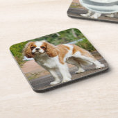 Blenheim Cavalier King Charles Spaniel Puppy Dog Getränkeuntersetzer (Linke Seite)