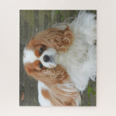 Blenheim Cavalier King Charles Spaniel Puppy Dog J Puzzle (Vertikal)