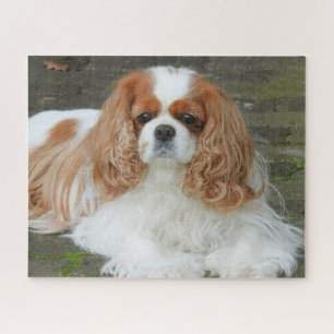 Blenheim Cavalier King Charles Spaniel Puppy Dog J Puzzle