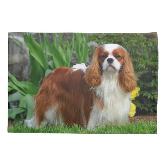 Blenheim Cavalier King Charles Spaniel Puppy Dog Kissenbezug (Rückseite)