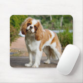 Blenheim Cavalier King Charles Spaniel Puppy Dog Mousepad (Mit Mouse)