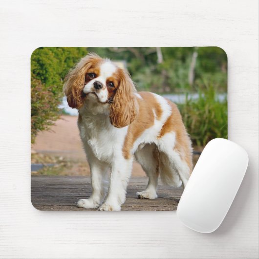 Blenheim Cavalier King Charles Spaniel Puppy Dog Mousepad (Mit Mouse)