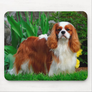 Blenheim Cavalier King Charles Spaniel Puppy Dog Mousepad