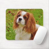 Blenheim Cavalier King Charles Spaniel Puppy Dog Mousepad (Mit Mouse)