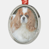 Blenheim Cavalier King Charles Spaniel Puppy Dog Ornament Aus Metall (Links)