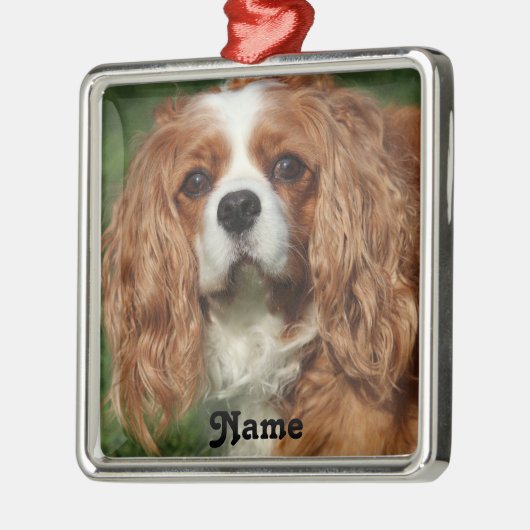 Blenheim Cavalier King Charles Spaniel Puppy Dog Ornament Aus Metall (Links)