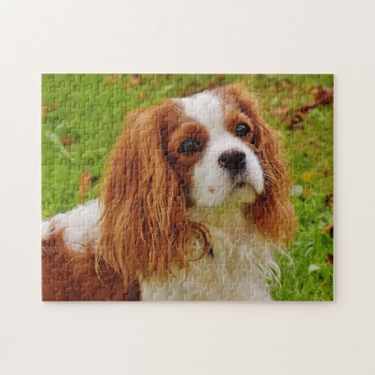 Blenheim Cavalier King Charles Spaniel Puppy Dog Puzzle (Horizontal)