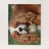 Blenheim Cavalier King Charles Spaniel Puppy Dog Puzzle (Vertikal)