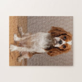 Blenheim Cavalier King Charles Spaniel Puppy Dog Puzzle (Horizontal)