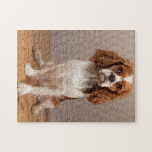 Blenheim Cavalier King Charles Spaniel Puppy Dog Puzzle (Horizontal)