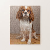 Blenheim Cavalier King Charles Spaniel Puppy Dog Puzzle (Vertikal)