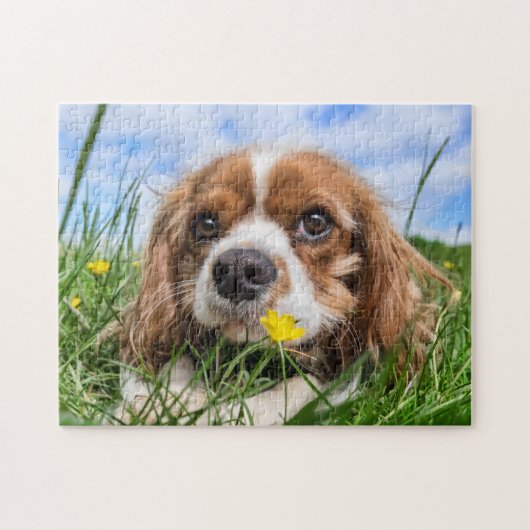 Blenheim Cavalier King Charles Spaniel Puppy Dog Puzzle (Horizontal)
