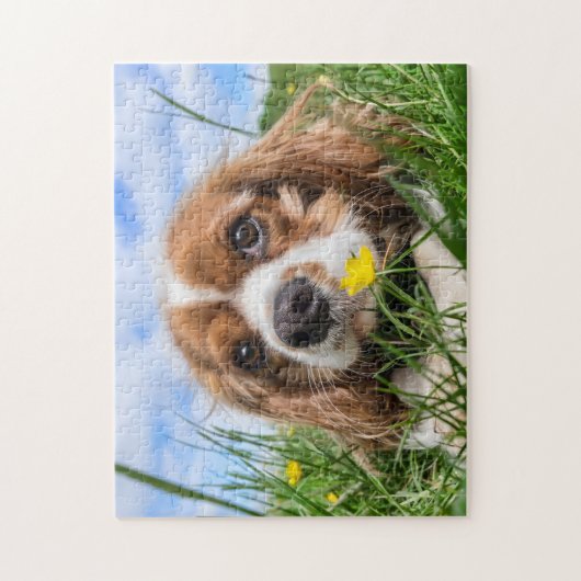 Blenheim Cavalier King Charles Spaniel Puppy Dog Puzzle (Vertikal)